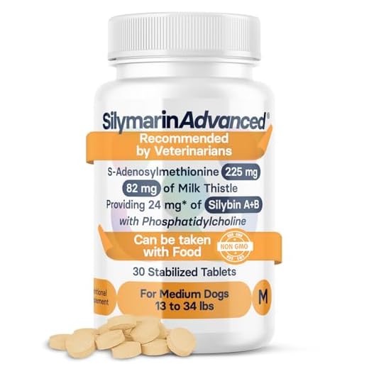 SilymarinAdvanced Lebergesundheit