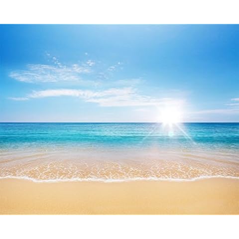 AOFOTO 10x8ft Beach Photography Studio Backdrop Sea Waves Background Blue Sea Clear Sky Sunlight Kid Baby Lover Adult Portrait Wedding Travel Vacation Photo Props Video Drape Wallpaper Cover