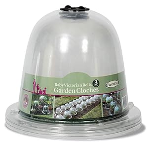 Haxnicks 3 x Kleine Baby Victoriaanse Bell Tuin Coche | Plantbescherming | Groeiende Groente | Specimen Planten | Pack van 3 Transparant, 20 x 25 cm | BELL030101