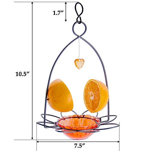 Forup LU-JME4-D9K3 Oriole Bird Feeder, Orange Fruit Oriole Feeder thumb #2