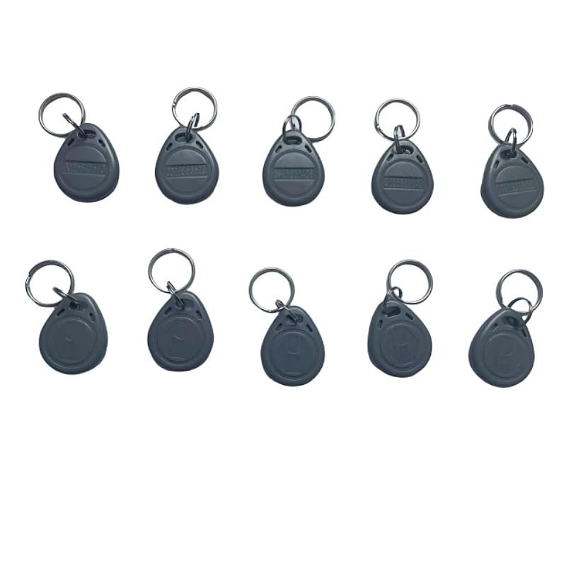 JWFKWNH Lot de 10 porte-clés RFID 125 kHz avec étiquette RFID em4100 (gris)