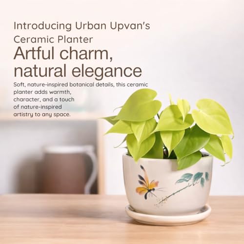 Image of Urban Upvan Green Leaf Design Printed Ceramic Pot with Tray - Premium Decorative Planter for Indoor & Outdoor Plants, Modern Elegant Flower Pot for Home, Garden & Office