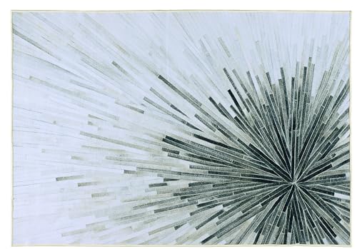 Image of BLUSH & BLOOM 3 x 5 Feet Area Rugs Washable Rug: Modern Abstract Living Room Rug Soft Anti-Skid Thin Carpet Indoor Floor Non-Shedding Carpets for Bedroom Dining Farmhouse Nursery Home Office