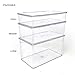 Isaac Jacobs Large Stackable Organizer Bin (10.75” x 6.5” x 6.1”) w Hinged Lid Clear Storage Box Home Office School Fridge Bathroom Kitchen Pantry Container BPAFree Food Safe (Large Clear)