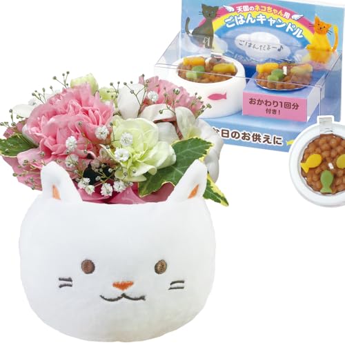 Ԃ̃Mtg   ybg ͂  L   ~  ybgp