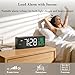 DreamSky AM FM Shortwave Radio and Wooden Alarm Clock with Date