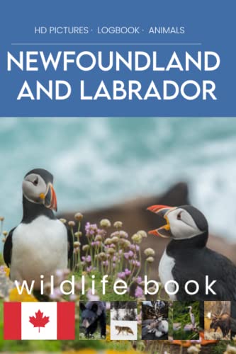 Newfoundland and Labrador wildlife book. Canadian animal and bird watching, track book.: Newfoundland and Labrador bird field guide and animal ... Watching journal and perfect animal lovers