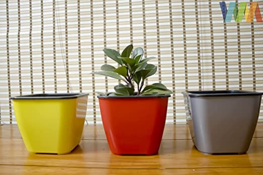 ANNRIA TRADES Self Watering Decorative|8 Inch| Eco Friendly Indoor and Outdoor Gardening Flower Pots Made of Non-Fadable Virgin Plastic for Home Decor, Terrace, and Balcony Multicolor Pack of 3 (B0B75CGWVL) Amazon Price History, Amazon Price Tracker