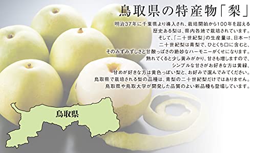 Amazon.co.jp: 梨 20世紀梨 青秀 7～20玉 5kg 鳥取県産 なし ナシ