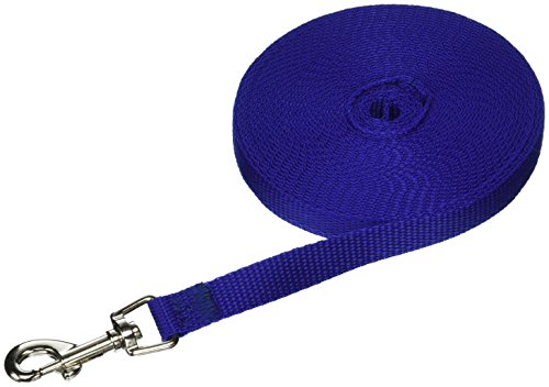 Guardian Gear Cotton Web Training Lead 20 Ft Blue