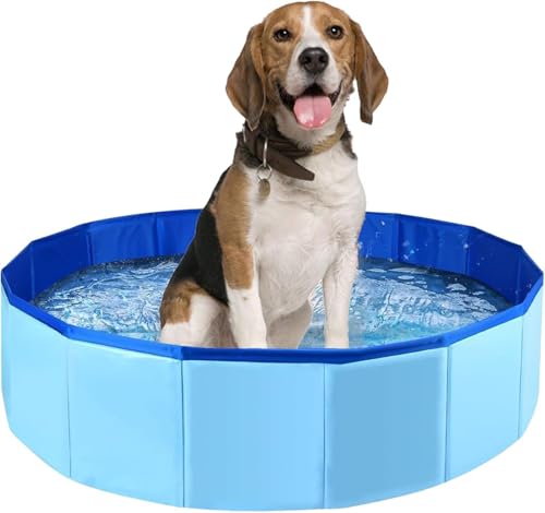Hundepool Katzenpool Hundeplanschbecken Faltbar Hundepool 30x10 cm Hundepools für Kleine Hunde Schwimmbecken PVC Schwimmbad Für Hund Pool für Hunde (Blau)
