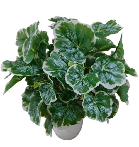 Image of Natural Looking Artificial Money Plant /Tree with Pot | Ornamental Plant for Interior Decor | Home /Shop /Office Decor (Green-White-Circle)