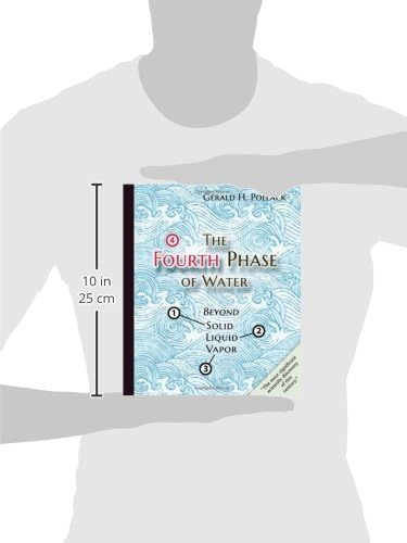 The Fourth Phase of Water: Beyond Solid, Liquid, and Vapor