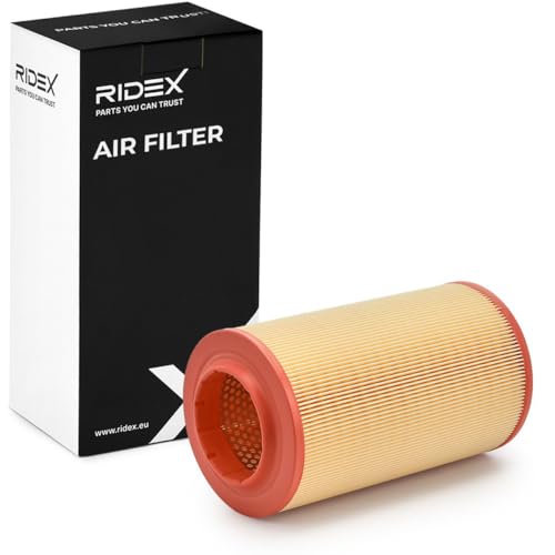 RIDEX 8A0099 Filtre à air Compatible avec FIAT Ducato III Van 250, 290