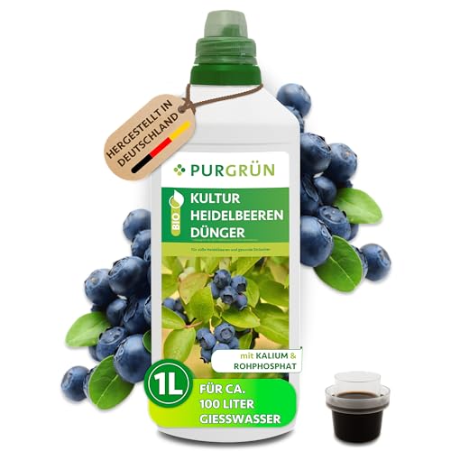 Purgrün® Bio-Kulturheidelbeeren-Dünger 1 Liter – Organische Rezeptur – Premium-Flüssigdünger – NPK 3+2+6 – Mit Algenextrakt & Vinasse – Für aromatische Früchte – Ohne tierische Inhaltsstoffe