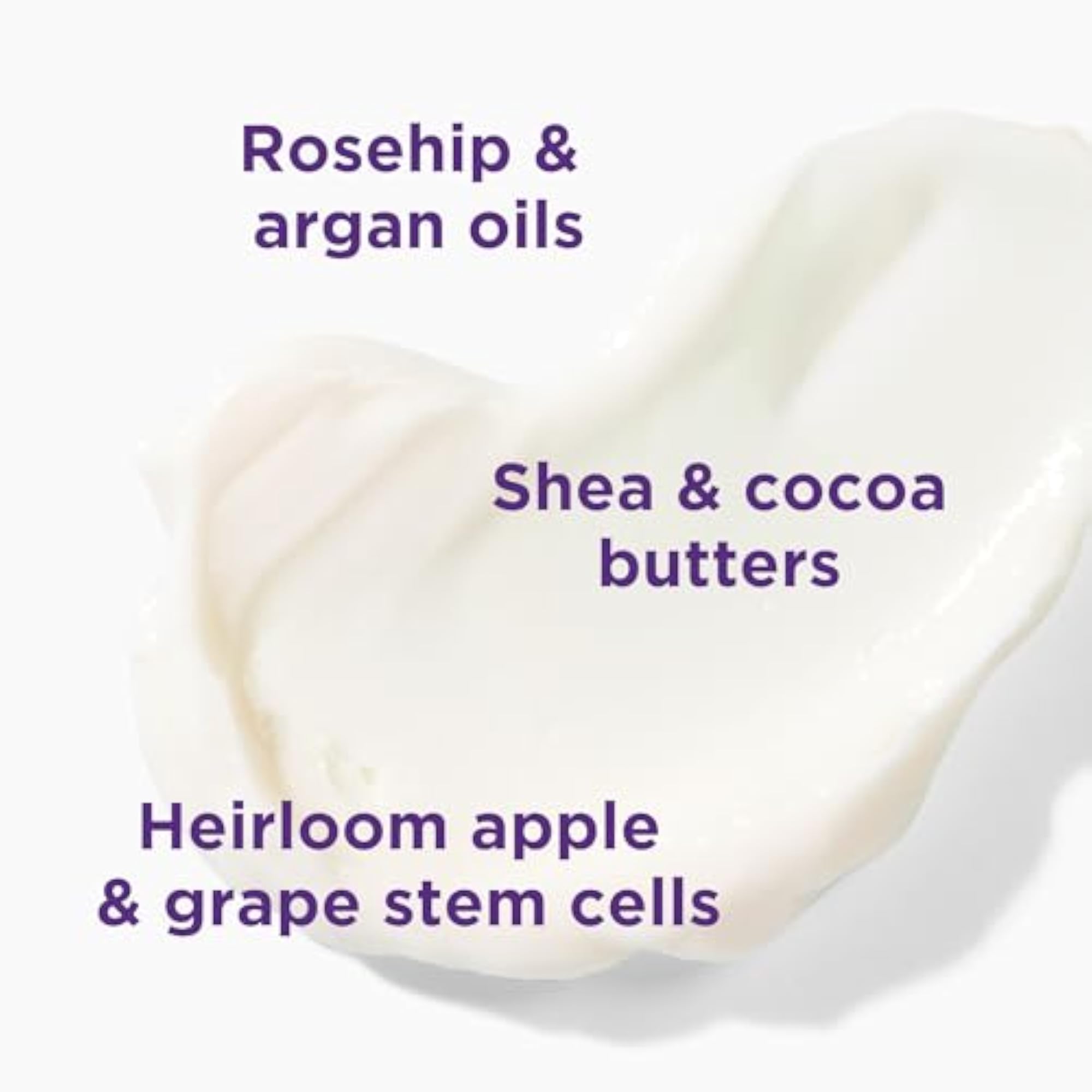 Refreshing Lavender Thyme Body Lotion