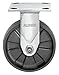 Albion 05NG08201R 8" Diameter Maxim Glass-Filled Nylon Wheel Medium Duty Stainless Steel Rigid Plate Caster, Roller Bearing, 4-1/2" Length x 4" Width Base Plate, 1200 lb. Capacity Range