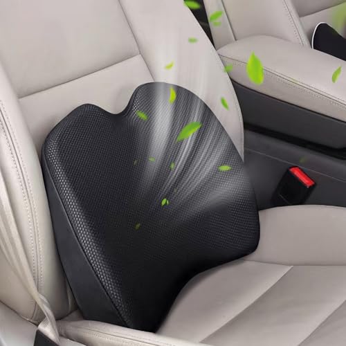 Super Soft Lumbar Support Pillow for Car, 100% Memory Foam
