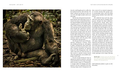 Just Like Us: A Veterinarian's Visual Memoir of Our Vanishing Great Ape Relatives