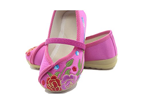 Tianrui Crown Children Girl's Flower Embroidery Loafer Shoes Kid's Cute Flat Dance Shoe Rose Red