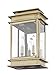 Livex Lighting 2016-01 Transitional Two Light Outdoor Wall Lantern from Princeton Collection Finish, Antique Brass