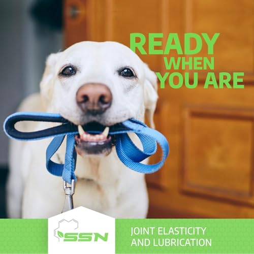 Fluid Motion - Hip & Joint Support for Dogs - Liquid Hyaluronic Acid - Joint Mobility, Skin, & Coat Supplement for Senior Dogs - Apple Flavor - Glucosamine Alternative (30-60+ Day Supply)