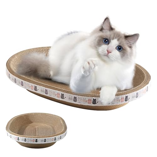 L̒܂Ƃ{[h | ȉ~` i{[ h  - LpXNb`{[h - V o x ~܂ ی  O  \t@ ybgp