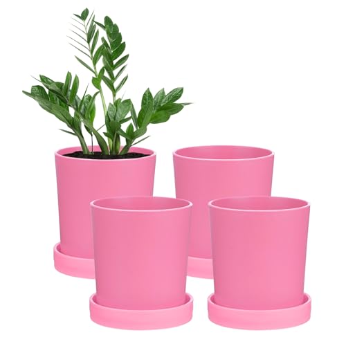 M METERXITY 4-Pack Plant Pots, 3.5 Inch Plastic Flower Pots with Drainage Holes for Cactus/Succulents Pot/Small Plants/Home/Garden, Planters for Indoor Plants [Pink]