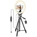 Produktbild UBeesize Handy stativ mit ringlicht,10" Touch Steuerung Ringlicht mit 50" Stativ für Live Stream/Makeup/YouTube Video/Fotografie