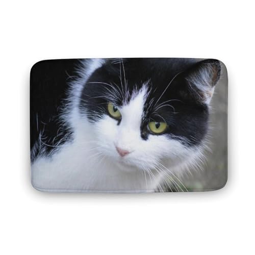 L   oX}bg   z փ}bg  O    ~ Aj LN^[ @}bg   ʏ