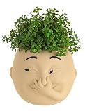 Afigurna Funny Bathroom Planter Decor: Quirky Holding Nose Plant Pot Indoor for Bathroom Counter - Succulent Pot with Drainage - Unique Face Planter for Guest Bath room Counter Shelf Toilet Decoration