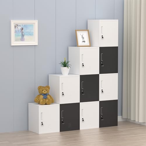 JINGUR Aufbewahrungsschrank aus Metall mit abschließbarer Tür und verstellbarem Regal für die Organisation von Home-Office-Wohnzimmer-Werkstatt (Weiß)