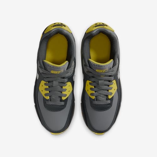 Nike Air Max 90 LTR Big Kids’ Shoes (Lightning/Smoke Grey/Anthracite/Light Silver)4