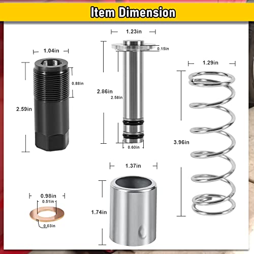 Replacement Pump Piston Pump Plunger Kit for Harbor Freight-Costco-Arcan-Matco 3 ton & 3 1/4 ton Floor Jack, Low Side Smaller of The Two Plungers