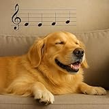 Veggizoo Music