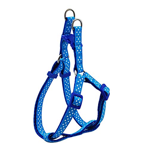B-JOY pour petit animal Chiot Laisse Harnais Nylon à pois pour Chien Chat Lapin Animaux (BLEU)