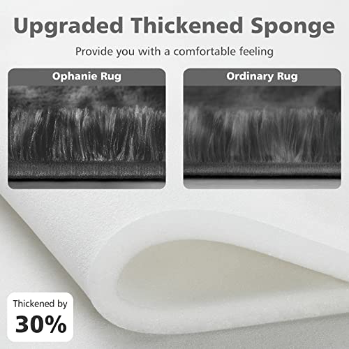 Ophanie Rugs For Bedroom, Machine Washable Fluffy Shaggy Soft Area Rug, Non-Slip Indoor Floor Carpet For Living Room, Kids Boys Teen Dorm Home Decor Aesthetic, Nursery, 4 X 5.3 Feet Black And Grey #TOP2