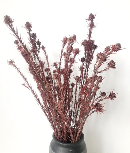 Flores Secas Mini Piña con Tallo 23" para Decoración miniatura 1
