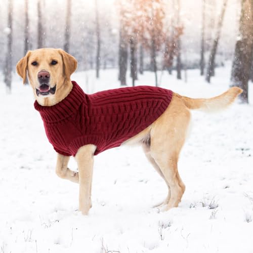 CITÉTOILE Hundepullover – Warme, Ärmellose Strickjacke mit Rollkragen für Kleine & Mittelgroße Hunde | Weiches Fleece, Bequem & Atmungsaktiv | Ideal bei Kälte | Rot, M