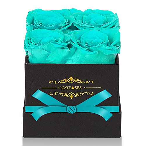 Top 7 Best Long Lasting Roses Reviews & Buying Guide BNB