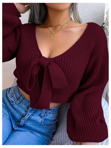 WDIRARA Women's Bow Tie V Neck Crop Sweater Long Sleeve Knit Pullover Tops Knitwear4