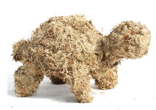 Small Turtle Topiary Form Filled with Sphagnum Moss - 10 INCHES Long, Large