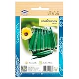 Graines de Gombo – OKRA – Bamia Asiatique – 75 graines – CHIA TAI (Home Garden) – Import Thaïlande – Légume tropical productif à croissance rapide