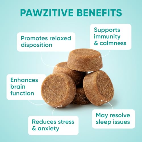 Image of Hemp Calming Chews for Dogs - Dog Calming Chews for Anxiety Relief, Stress, Separation, Fireworks, Thunder, Travel, Vet Visits - USA Product - 120 Soft Treats with Melatonin, Chamomile, Passion Flower