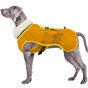 EMUST Dog Coat for Winter, Fleece Turtleneck Dog Cold Weather Coat for Indoor&Outdoor, Warm Dog Vests for Winter, Dog Apparel for Extra Large Dogs, Orange XXL