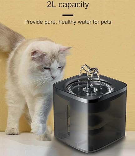 Fuente de Agua para Mascotas 2L para Gatos y Perros miniatura 6