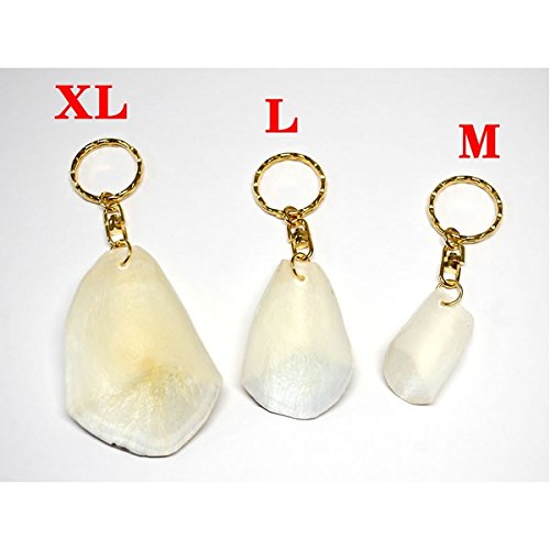 Amazon.co.jp: 【ピラルクのウロコ XL サイズ 1個】ペルーアマゾンから