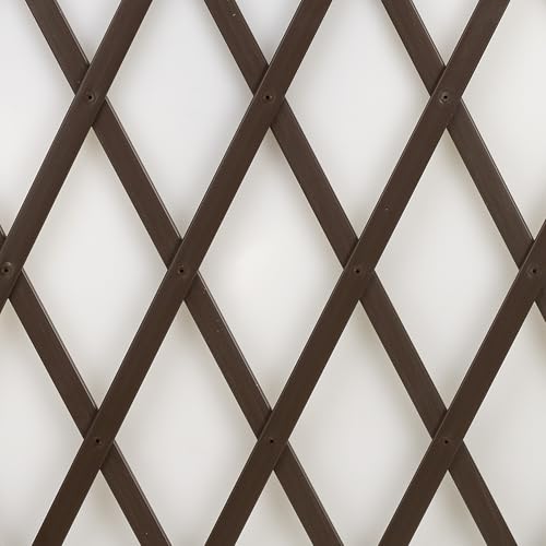 TENAX Treplas 50x200 cm Marron, Enrejado Extensible en PVC para la Sujeción de Plantas Trepadoras y Decorar Paredes, Balcones y Terrazas
