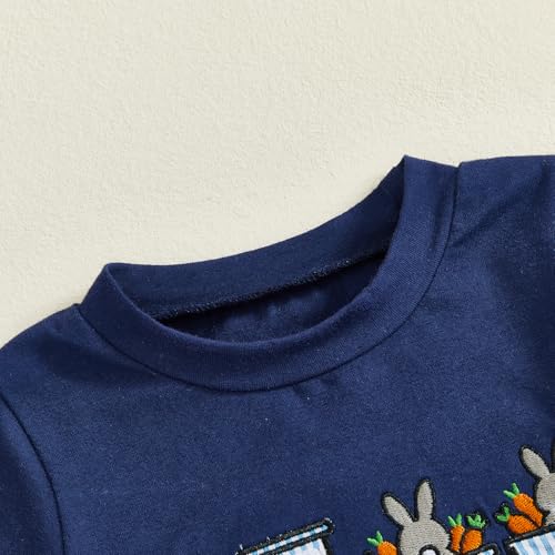 Image of Toddler Baby Boy Easter Rabbit Outfit Short Sleeve Bunny Carrot Smocked T-shirt Elastic Waist Shorts Summer Clothes