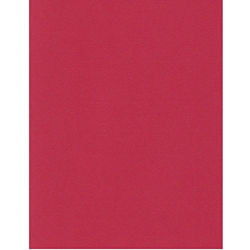 エスケント ケント紙 スターカラー A4 スカーレット 100枚 5753007
